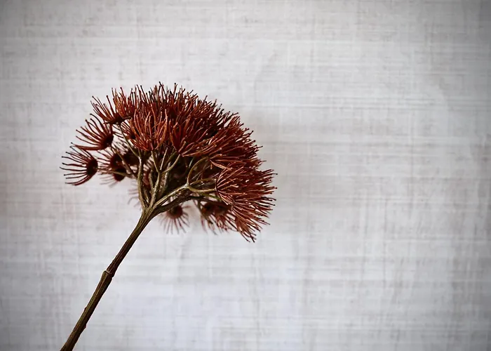 アパート Haus Am Lift - Top3 - Summercard Included - Ski-in Ski-out - 6p *